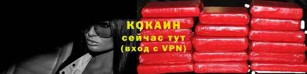 мдпв Мегион