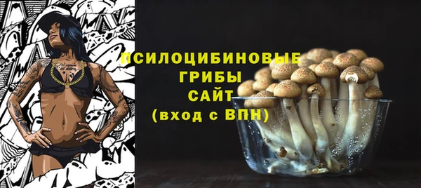 COCAINE Медногорск