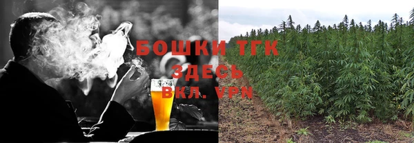 мдпв Мегион