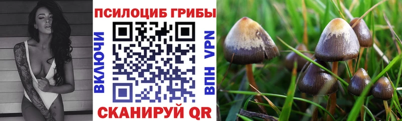 Купить где  Одинцово  Галлюциногенные грибы Magic Shrooms 